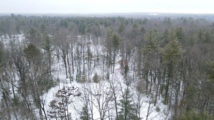 Timberland Property for sale in Roscommon County, Michigan