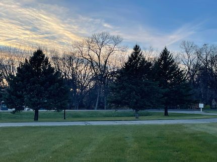 Undeveloped Land for sale in Douglas County, Minnesota