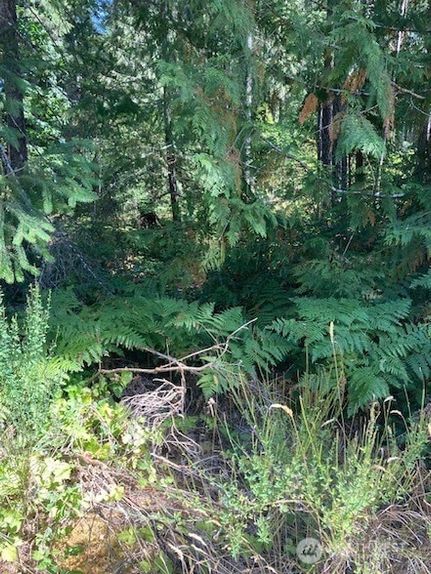 Property for sale in Mason County, Washington