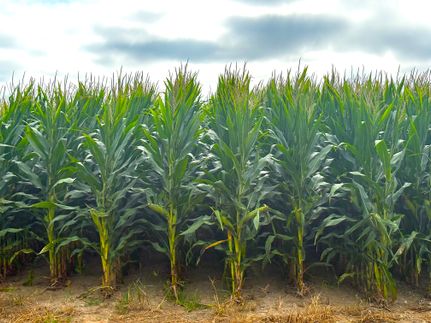 Property for sale in Carroll County, Indiana