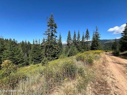 Undeveloped Land for sale in Shoshone County, Idaho