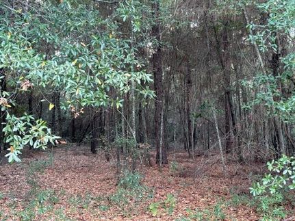 Property for sale in Decatur County, Georgia