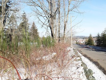 Property for sale in Whatcom County, Washington