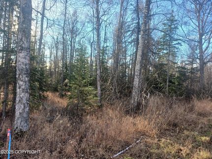 Property for sale in Matanuska-Susitna Borough, Alaska