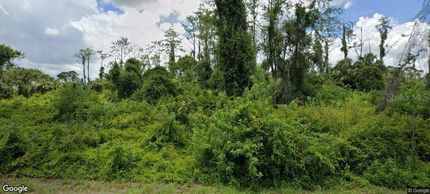 Undeveloped Land for sale in Lee County, Florida