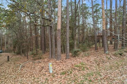 Undeveloped Land for sale in San Jacinto County, Texas