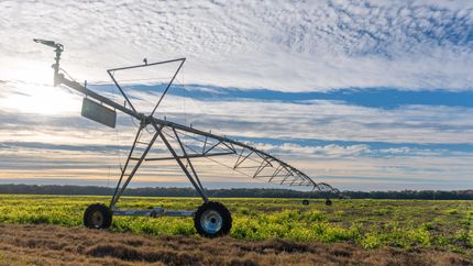 Property for sale in Mitchell County, Georgia