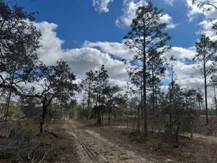 Undeveloped Land for sale in Levy County, Florida