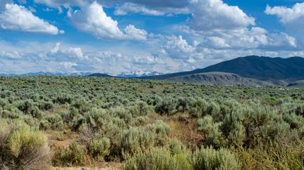 Farm Property for sale in Elko County, Nevada