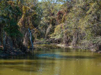 Waterfront Property for sale in Madison County, Texas
