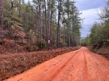 Property for sale in Washington County, Georgia