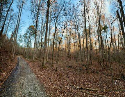 Undeveloped Land for sale in Sevier County, Tennessee