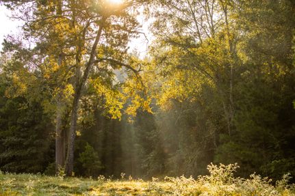 Farm Property for sale in Smith County, Texas