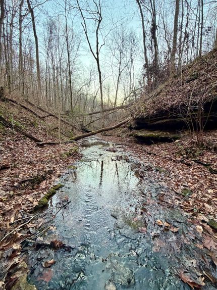 Property for sale in Cheatham County, Tennessee