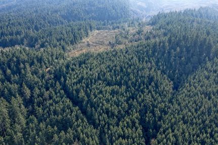 Hunting Land for sale in Lane County, Oregon