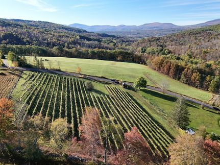 Property for sale in Albany County, New York