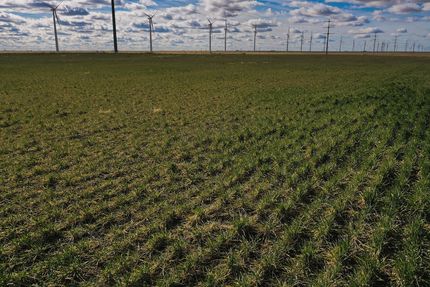 Property for sale in Beaver County, Oklahoma