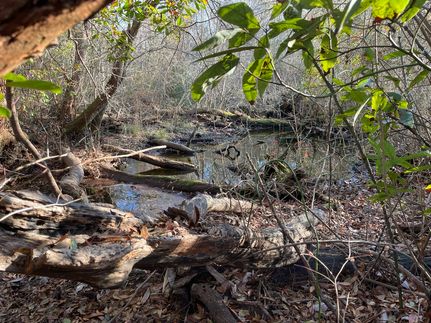 Timberland Property for sale in Jones County, North Carolina