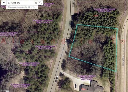 Undeveloped Land for sale in Douglas County, Minnesota