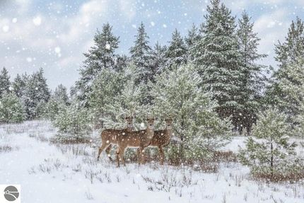 Undeveloped Land for sale in Wexford County, Michigan