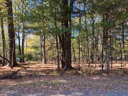 Undeveloped Land for sale in Pike County, Pennsylvania