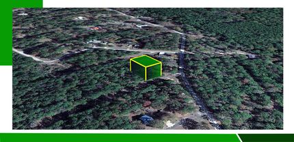Undeveloped Land for sale in Trinity County, Texas