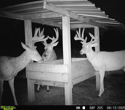 Farm Property for sale in Chautauqua County, Kansas