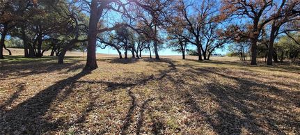 Undeveloped Land for sale in Parker County, Texas