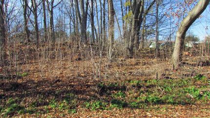 Property for sale in Greene County, New York