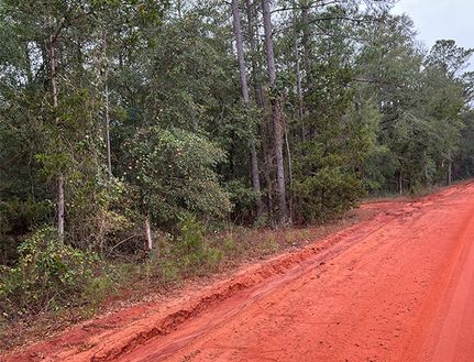 Hunting Land for sale in Washington County, Georgia
