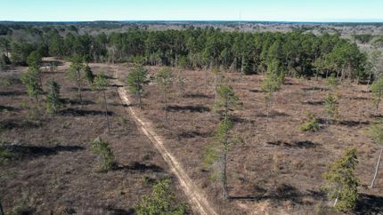 Undeveloped Land for sale in Cass County, Texas