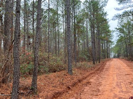 Property for sale in Washington County, Georgia