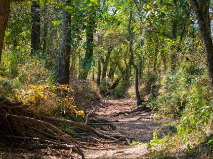 Ranch Property for sale in Limestone County, Texas