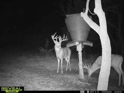 Property for sale in Wabaunsee County, Kansas