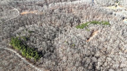 Farm Property for sale in Houston County, Tennessee