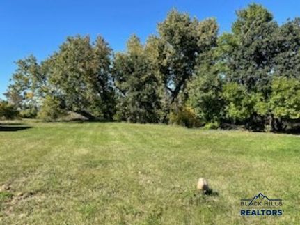 Undeveloped Land for sale in Butte County, South Dakota