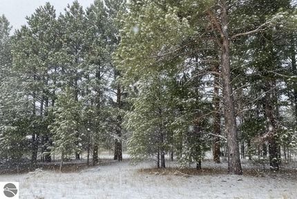 Undeveloped Land for sale in Kalkaska County, Michigan