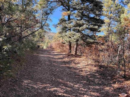 Undeveloped Land for sale in Mora County, New Mexico