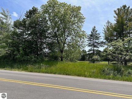 Undeveloped Land for sale in Antrim County, Michigan