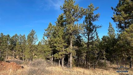 Undeveloped Land for sale in Custer County, South Dakota