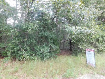 Property for sale in Tattnall County, Georgia