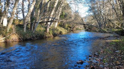 Ranch Property for sale in Douglas County, Oregon