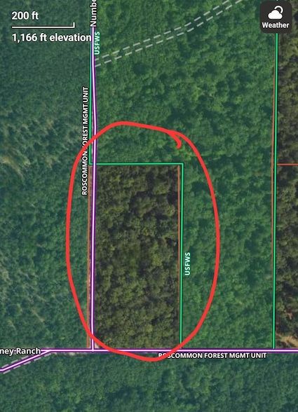 Ranch Property for sale in Ogemaw County, Michigan