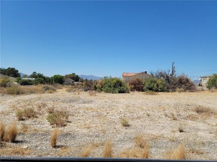 Undeveloped Land for sale in Nye County, Nevada