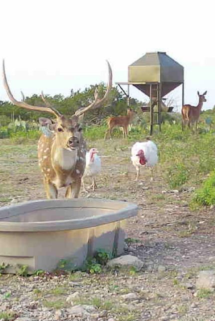 Property for sale in Val Verde County, Texas