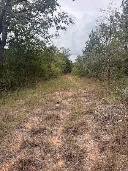 Property for sale in Bastrop County, Texas