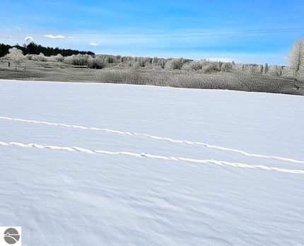 Undeveloped Land for sale in Grand Traverse County, Michigan