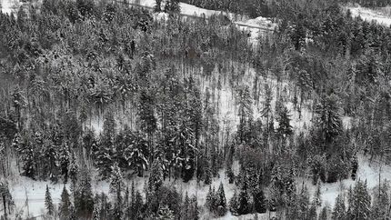 Ranch Property for sale in Caledonia County, Vermont