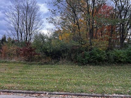 Undeveloped Land for sale in Richland County, Ohio