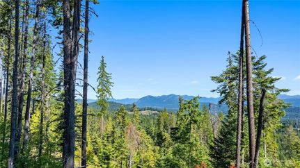 Undeveloped Land for sale in Kittitas County, Washington